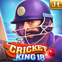 Cricket King 18 screenshot